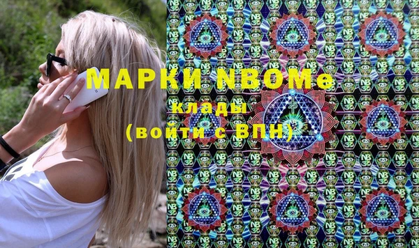 spice Богородицк