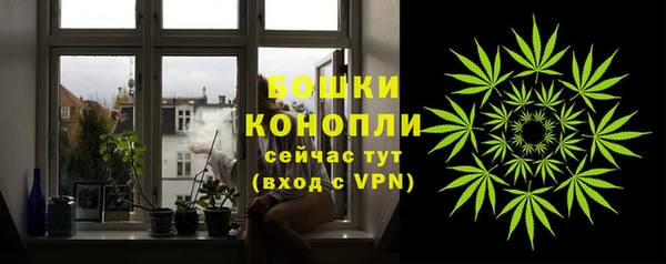 твердый Богородск