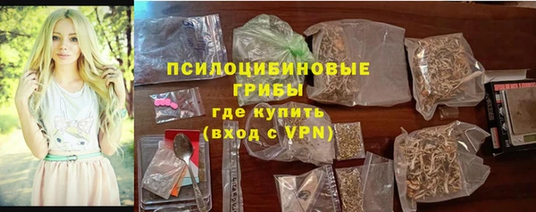 молекула духа Белокуриха