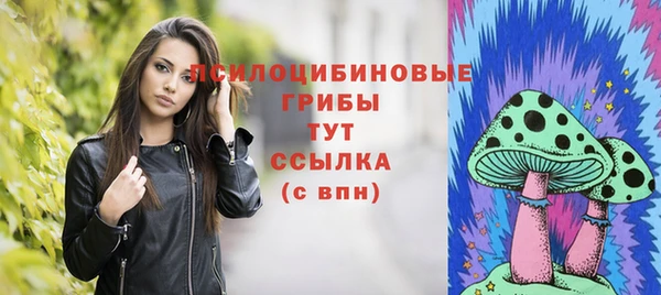 молекула духа Белокуриха