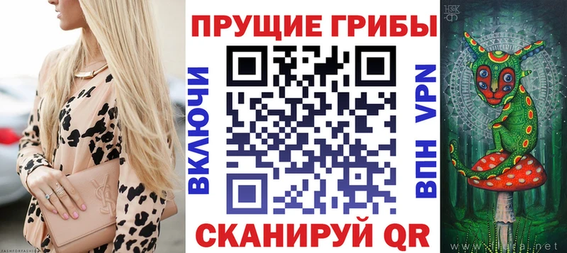 Псилоцибиновые грибы Psilocybine cubensis  это наркотические препараты  Беломорск 